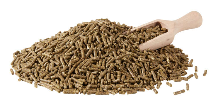 BERKEL FUTTER Flora-Vit